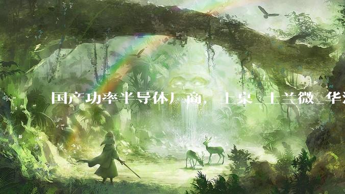 国产功率半导体厂商，上桌_士兰微_华润微_器件